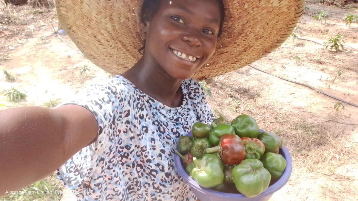 Farmer Aritetsoma Joy Opuro tweet media