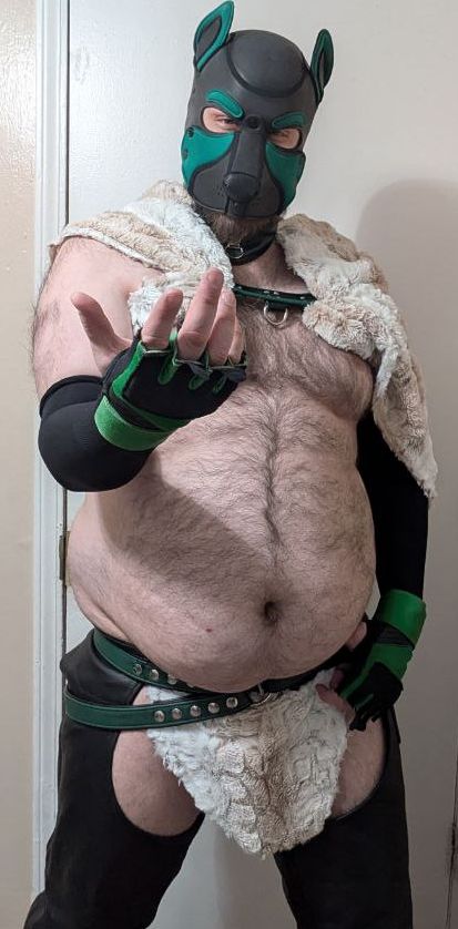 TimetTheWolf's tweet photo. Pup Hood 👅 https://t.co/wU2YLbJEOT