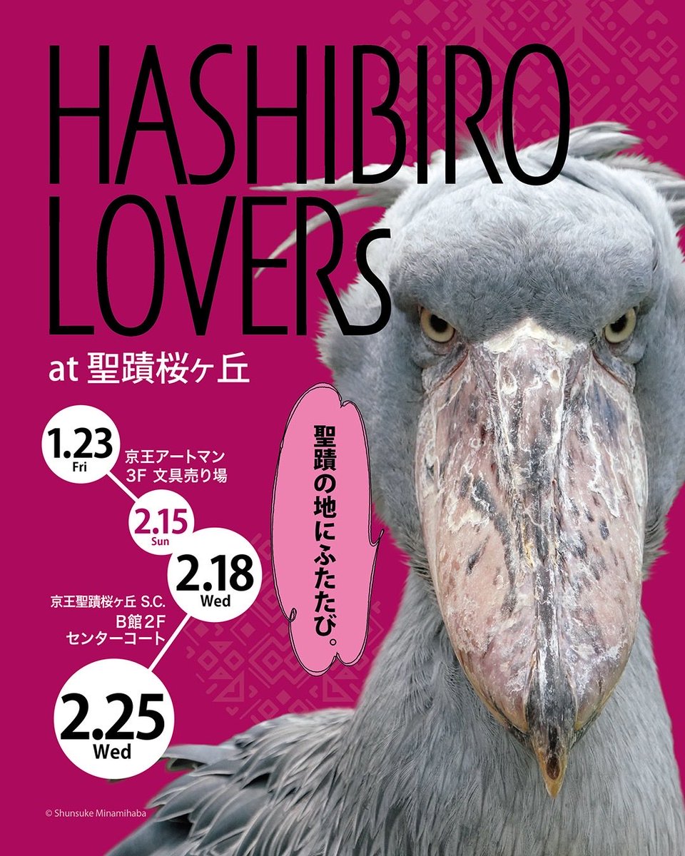 kotori_amiami's tweet photo. ♦️HASHIBIRO LOVERs at 聖蹟桜ヶ丘♦️
⚫期間 : 2/18(水)〜2/25(水)
⚫会場 : 京王聖蹟桜ヶ丘S.C. 2F センターコート
⚫時間：10:00~20:00
⚫住所 : 東京都多摩市関戸1-11-1
⚫TEL : 042-337-2581
#イデアルのイベント
#ハシビロラバーズ
#hashibirolovers
#ハシビロコウ
#handmadeことり https://t.co/36mWKC9hdT