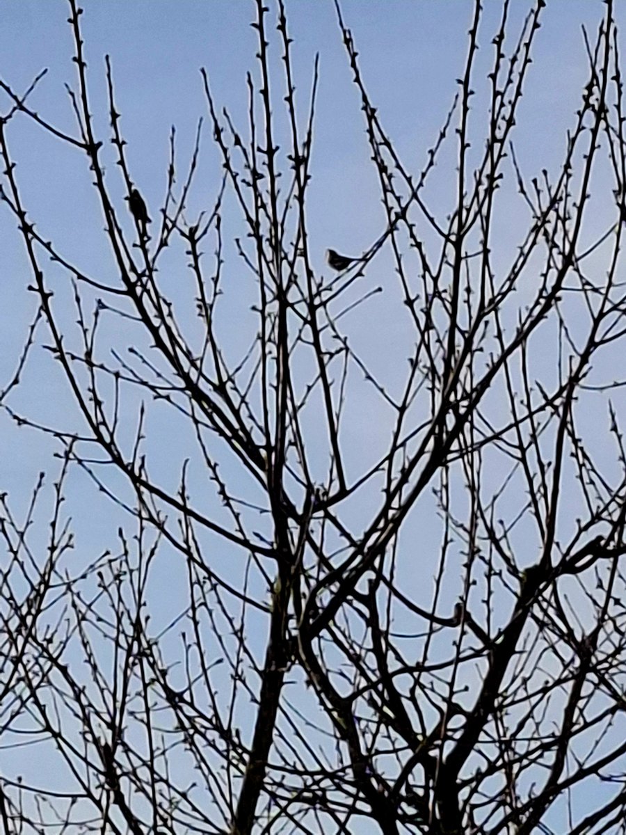 Vanmorgenvroeg tijdens rondje lopen