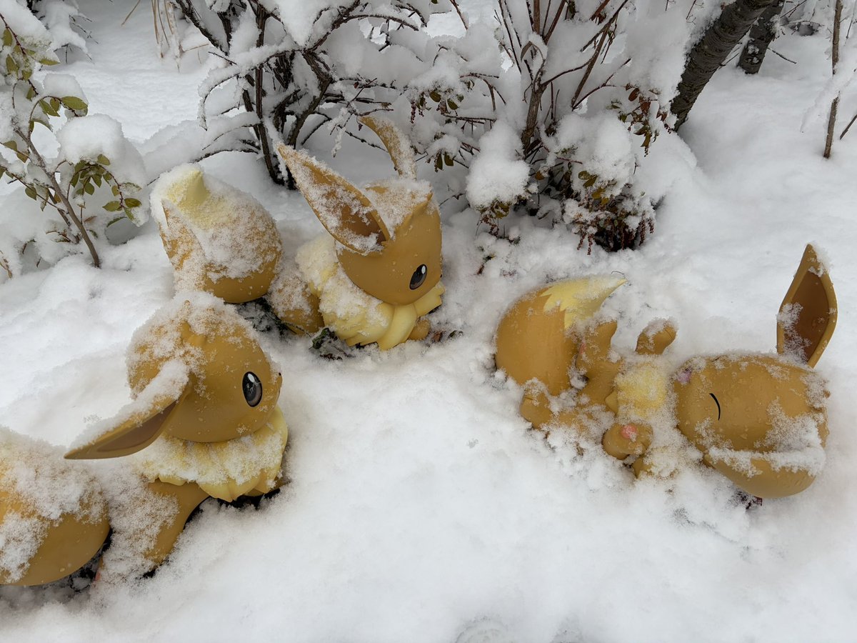 UniteVids's tweet image. ☃️✨IT IS SNOWING AT POKÉPARK KANTO✨☃️