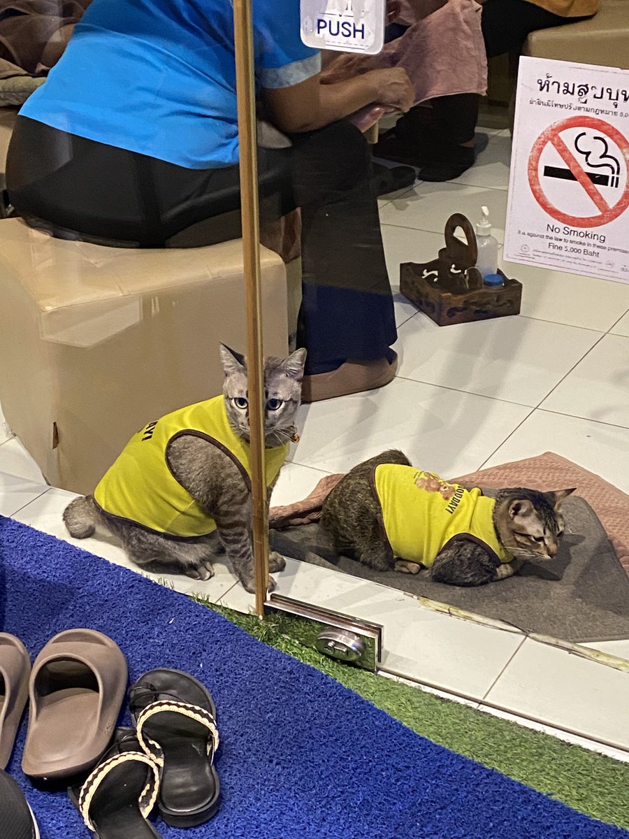 แอบมิดมาก5555555555555