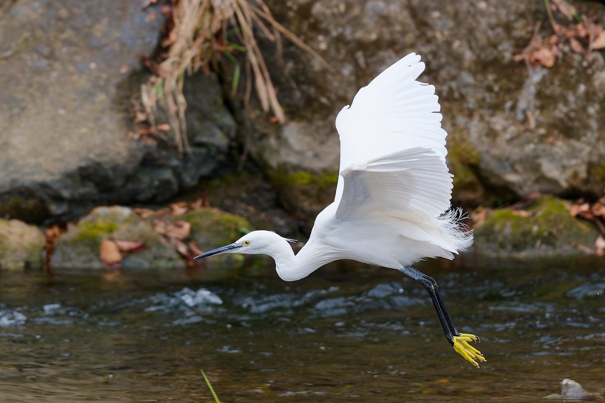 むぎさま (@mugichaou_asobi) / Posts / X