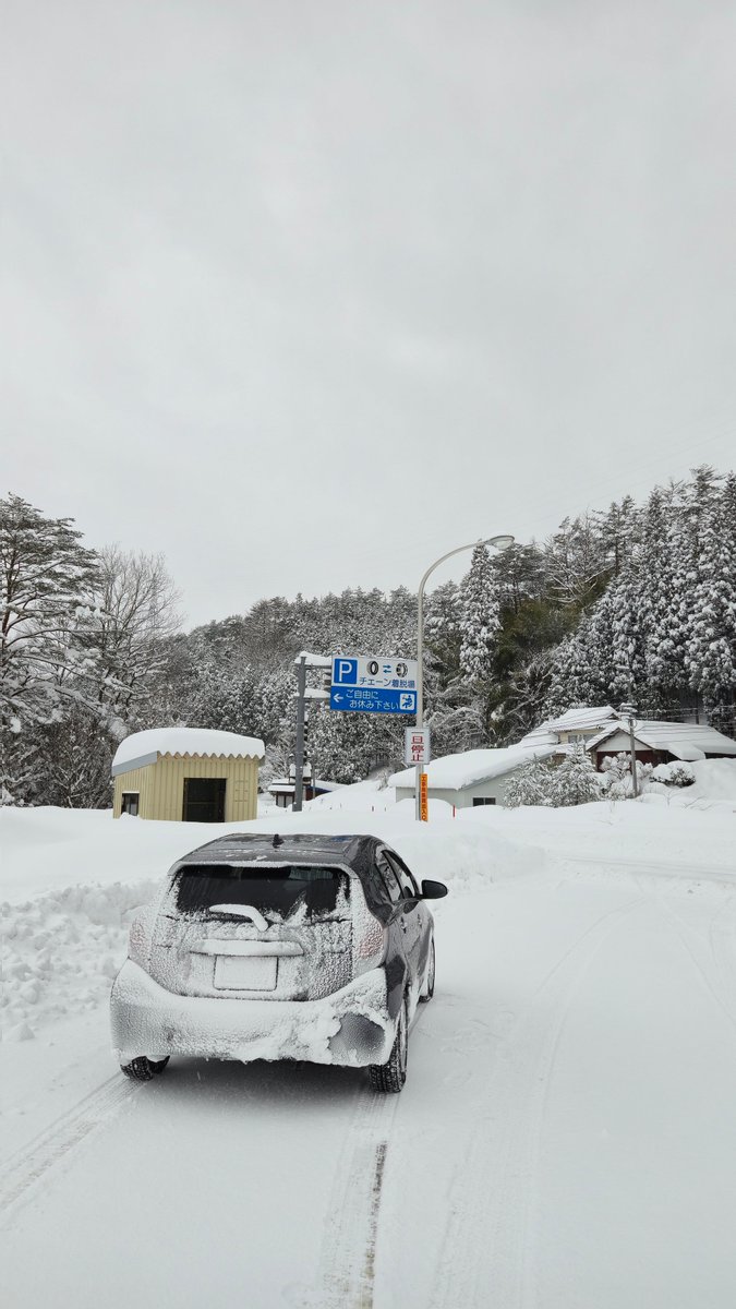県南は至るところが凍ってる。
県北の方がまだ良いくらい。

今日晩から明日は事故まみれになるんだろうな…。

にしても、型落ち中古スタッドレスでもすげえ効果あるんだな…