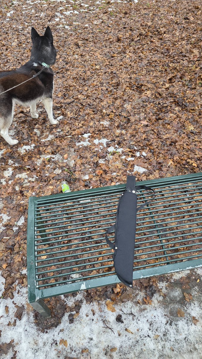 Ledwo stopniał pierwszy śnieg i już się ludzi rzucili do prac ogrodowych, temu jak się spieszyło 😏