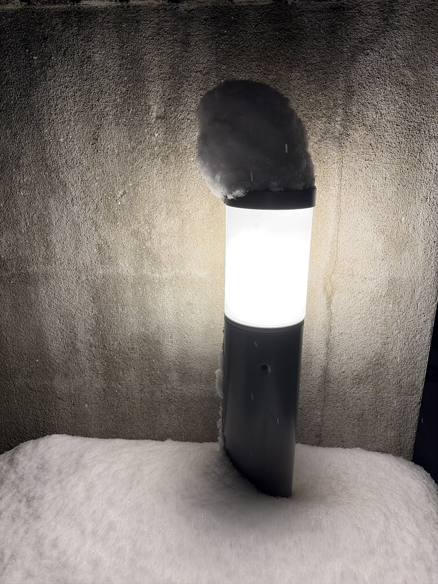 ありんこ tweet media