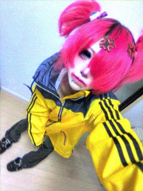 ぺこり (@pekonekoxux) on Twitter photo 