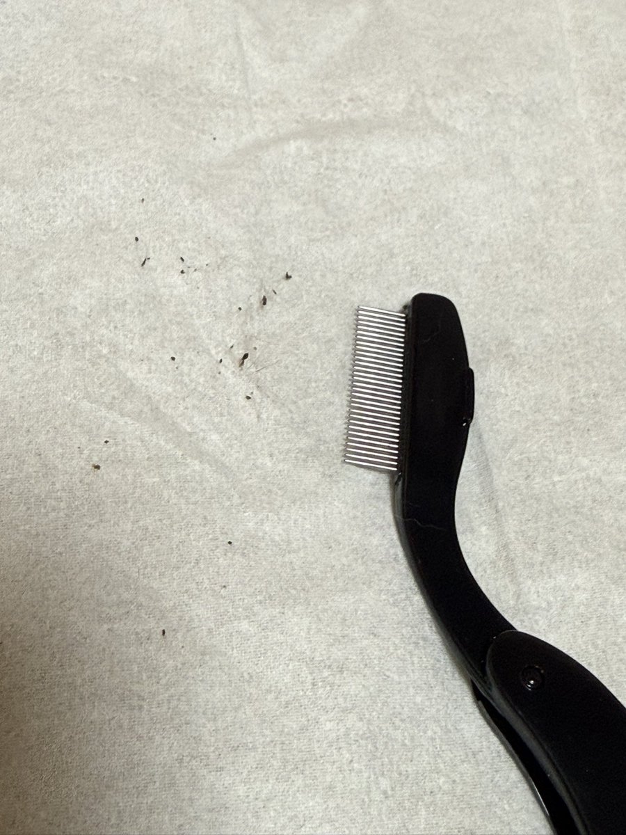 100均でこれは！と思った
「極みの顎ニキビ職人」に名前変えた方がいい