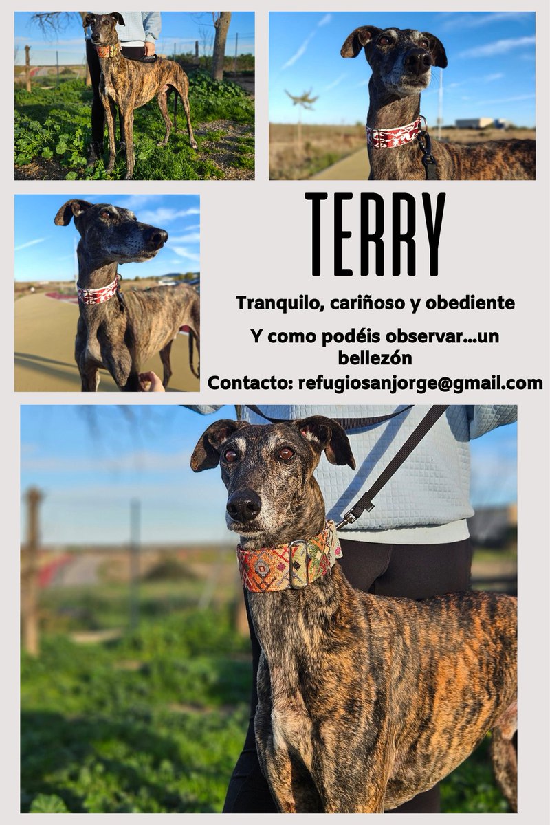 Refugio San Jorge Cáceres tweet media