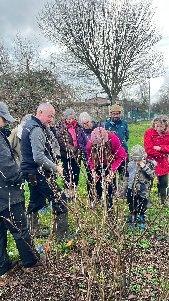 Togher Community Garden tweet media