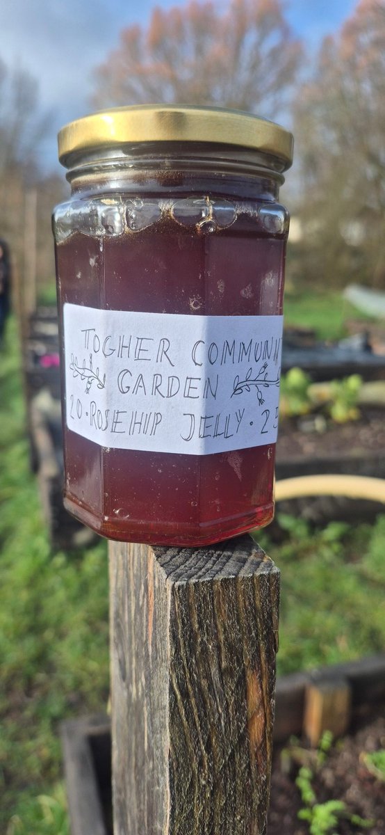 Togher Community Garden tweet media