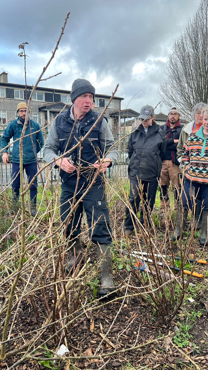 Togher Community Garden tweet media