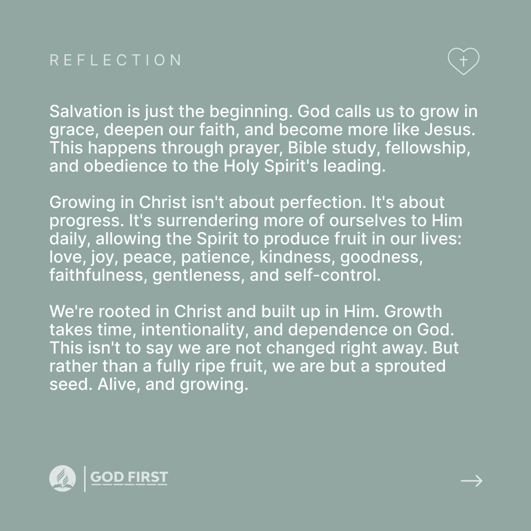 adventistchurch's tweet photo. As humans, we are impatient. We want it all and we want it now. Growth doesn't work like that. Fruit starts from a seed, and so does the fruit that grows in the life of the Christian. Ask God to cultivate the soil of your heart today and comment FRUIT. https://t.co/HdzeNyz1Ue
