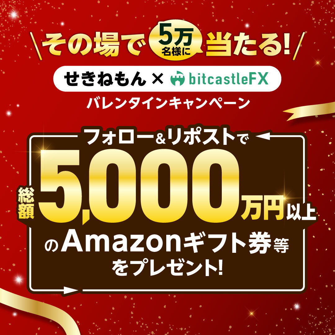【せきねもん×bitcastleFX】バレンタインキャンペーン🎉
bitcastleFXとのタイアップキャンペーン開催！

総額5,000万円、1等100万円、総勢5万名に当たります！
ご参加お待ちしております

【応募方法】
1⃣ <a href="/yocchan60/">せきねもん(関根義光)@仮想通貨で30億円稼いだ人</a>をフォロー
2⃣ この投稿をリポスト
3⃣ 以下のURLから抽選
present.social-camp.com/yocchan60/4703…