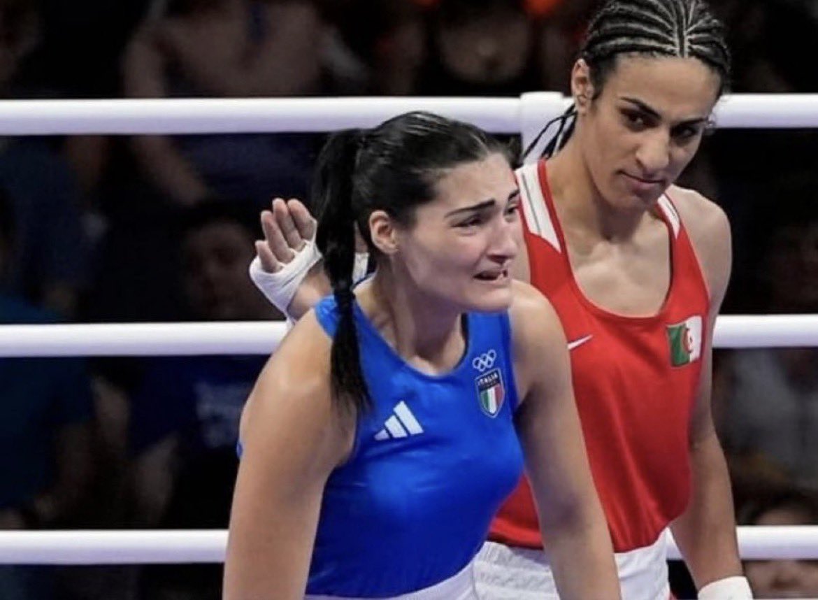 ThomFish tweet media