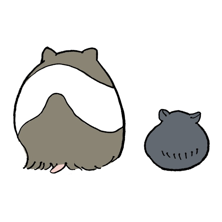 モルちゃん＆センちゃん (@moruchang01) / Posts / X