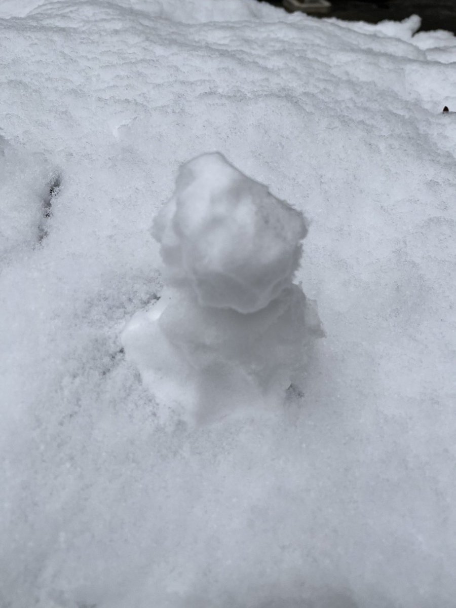 寒かったですね。

凍った路面など気を付けてくださいね。

風邪など引かないように。

そして、久しぶりの雪だるま。