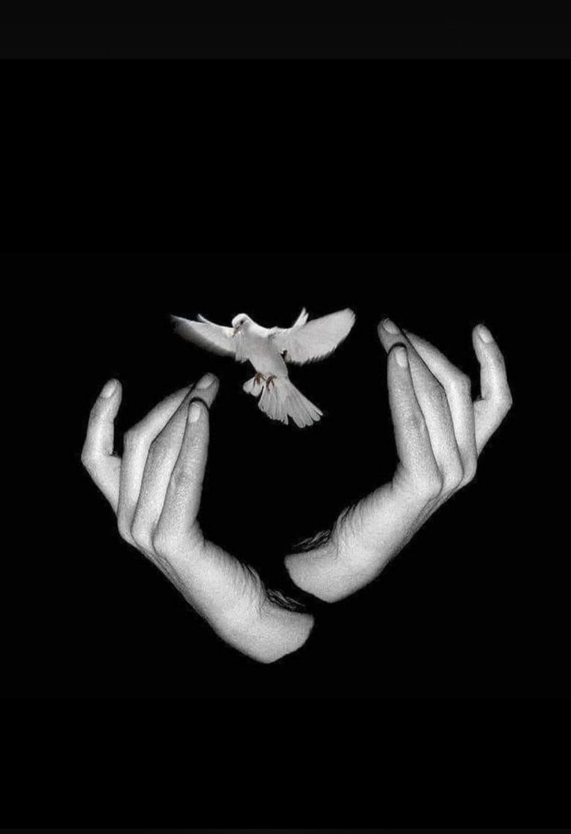 Tesadüf seni önüme çıkarmasaydı, 
gene aynı şekilde, fakat her şeyden habersiz, 
yaşayıp gidecektim.

Sen bana dünyada başka bir hayatın da mevcut olduğunu, 
benim birde ruhum bulunduğunu öğrettin...!

Sabahattin Ali