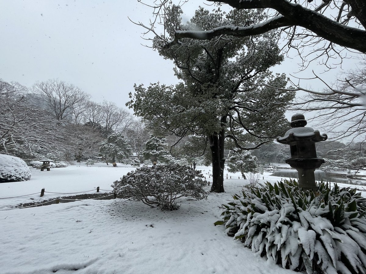 info_theiere's tweet photo. 雪の六義園。数年に一度の景色です。　#六義園 #雪景色 #モノクロ #大雪 https://t.co/tYC5Rws6I0