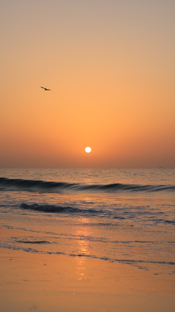 Jiefeng Shi tweet media