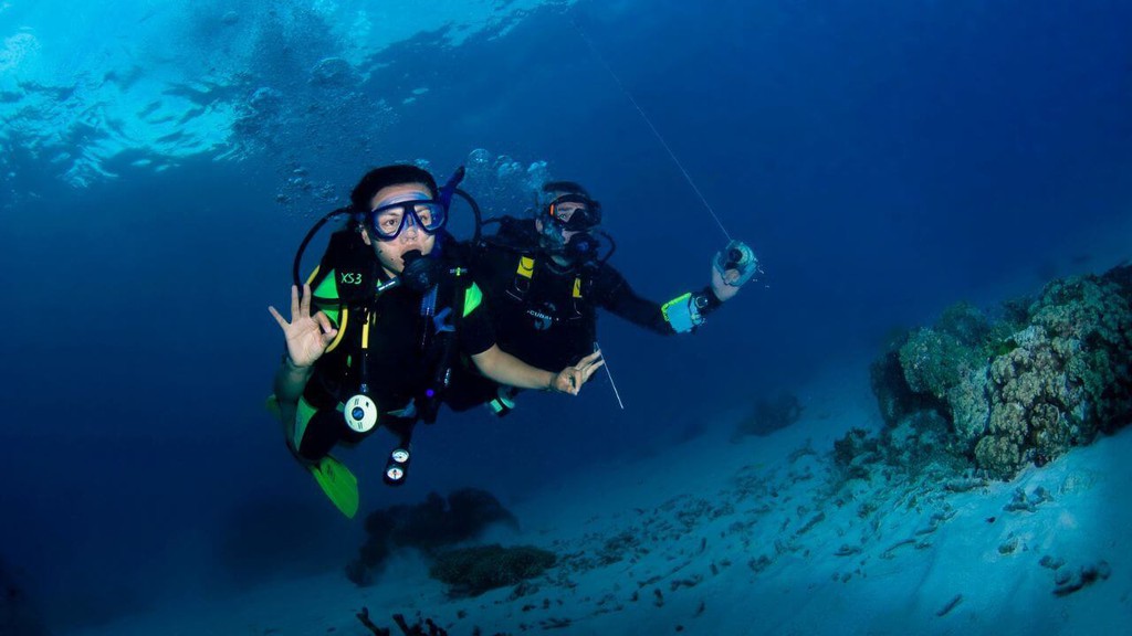 theRadicalFIRE's tweet image. Quitting your job sounds risky, unless you become a professional mourner or pet food taster. Yes, those are real, and they pay surprisingly well.

Read more 👉 lttr.ai/An82e

#JobMarket #DiverseOpportunities #Career