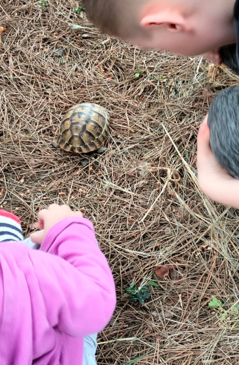 "Az önce markette bizim hesabı geçerken kasiyer kız " Burada iki tuşu çalışmıyor "dedi.. Tevhîdin izini süren için iki tuşu yoktur zat.en..
... 
Sözlerim kendimedir nükte değil, Bilin cân birdir, ikilikte değil(Yûnus)