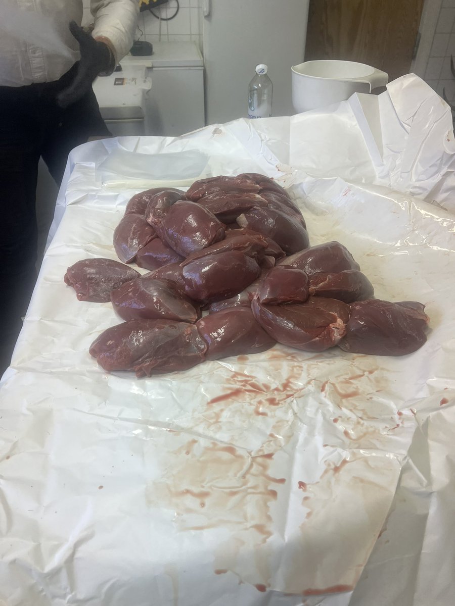 Då är det bara o vakuumpacka , 22 rådjur , 18 vildsvin 1 dov. Kul jakt, men det här blir drygt….