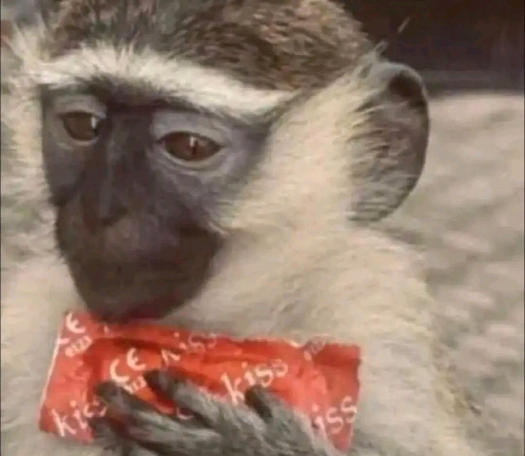 Rod_king_🇨🇬🇮🇪🇨🇦 tweet media