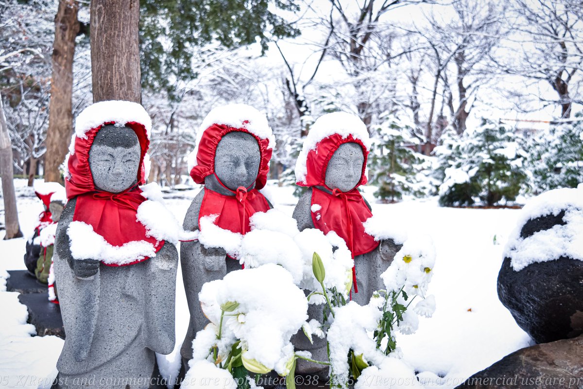 38_2205's tweet photo. 雪とお寺 日本は美しい https://t.co/9Qjai3eHs8