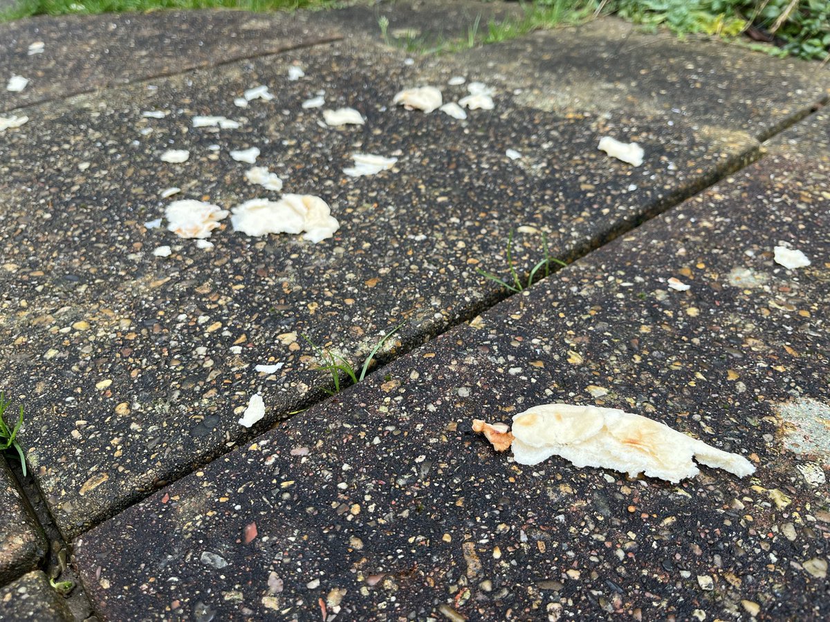 Steve Ritchie - MetalTalk💙 tweet media