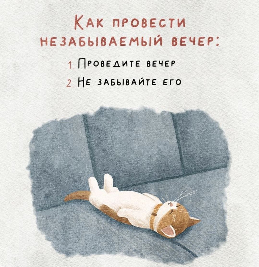 Borsique😺 (@borsique) on Twitter photo 