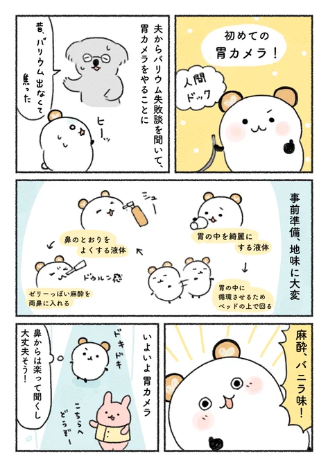 初めての胃カメラ。
結局バリウムとどっちが楽なんだろう…🤔
(1/2) 