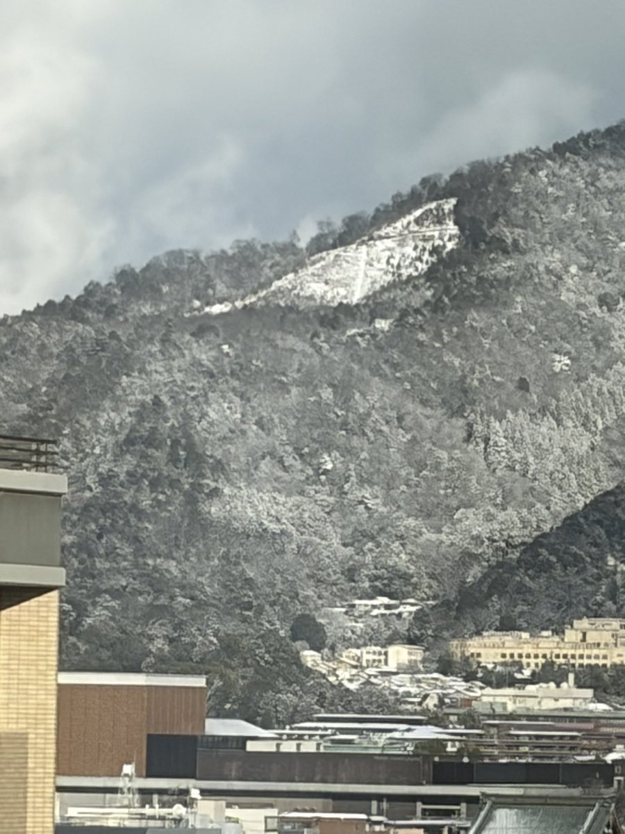 粉砂糖を振ったケーキのよう