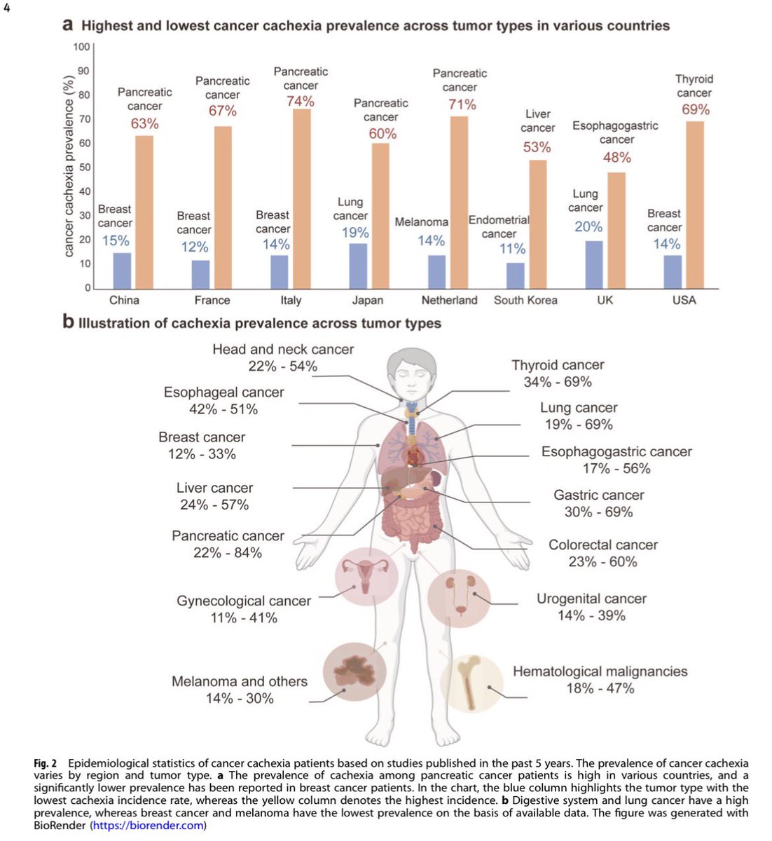 📕Cancer cachexia: molecular basis and therapeutic advances

👉nature.com/articles/s4139…

#cancer #oncology #MedX <a href="/OncoAlert/">OncoAlert</a> <a href="/realbowtiedoc/">Dr Joseph McCollom DO</a>