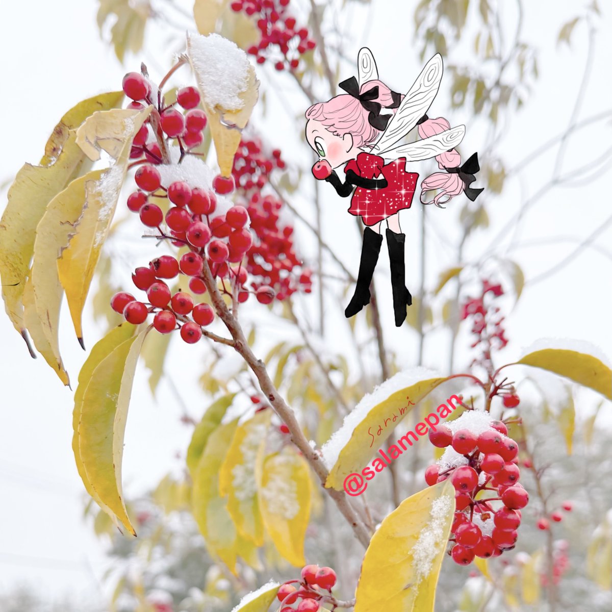 salamepan's tweet photo. 雪で全部可愛いか��た日❄️ https://t.co/hKtw5Ip2GV