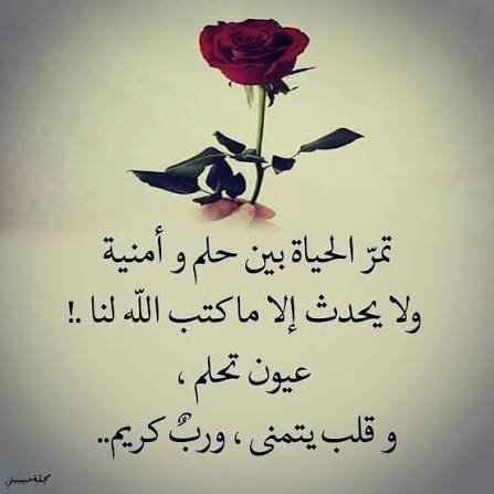 تيماء ياسر (@t148yma) on Twitter photo 