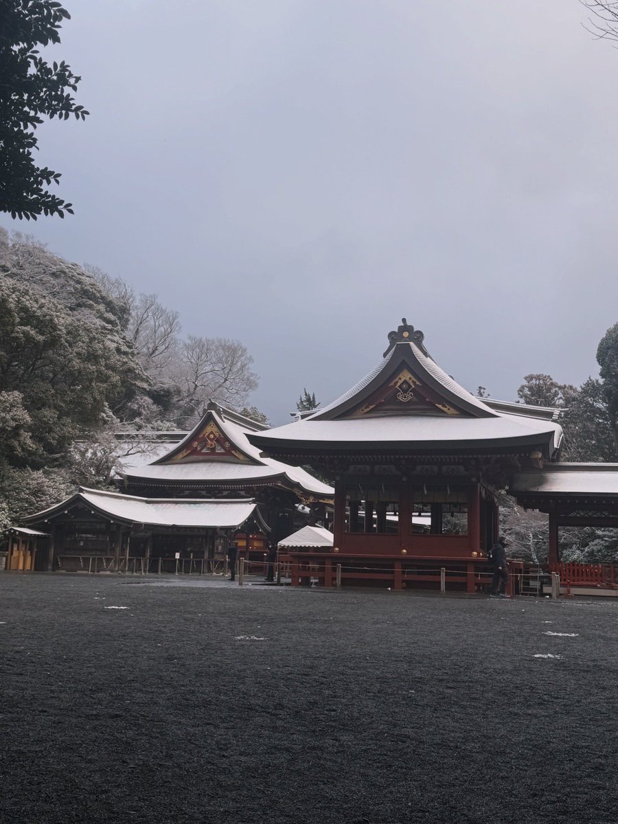 鶴岡八幡宮も雪化粧。