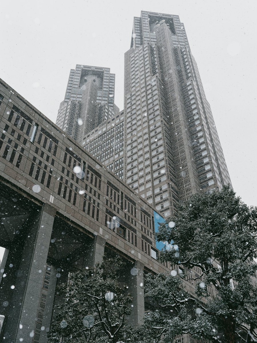 00ken_p's tweet photo. 今日、東京の空に雪が舞った 
#東京都庁 
#α9III #sel2870gm https://t.co/fiFNqBcOdS