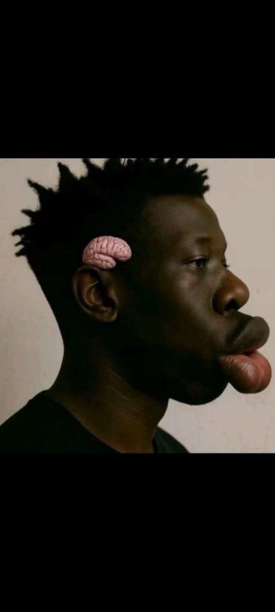 Optard K1ller tweet media