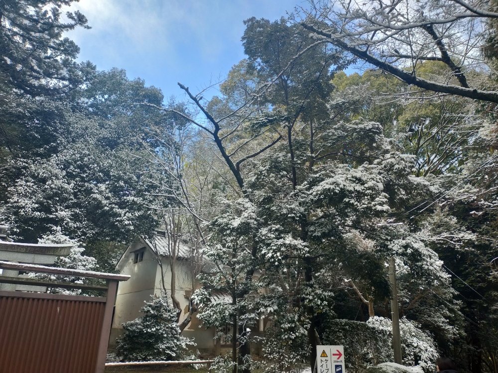 🔥🔥高血圧🔥🔥サラリーマン tweet media