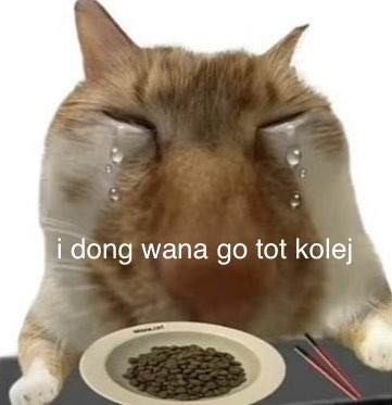 xee si wahabi lingkungan tweet media