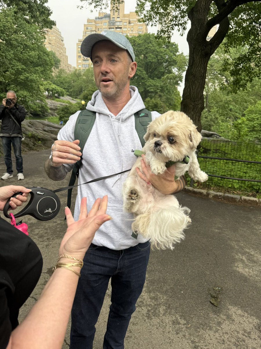 Cecttina's tweet photo. @NiallHarbison Here is my Sweet Billy pulled out of a kill shelter in Texas, meeting you in Central Park, NYC! 💝 https://t.co/TCxWMtQxnv