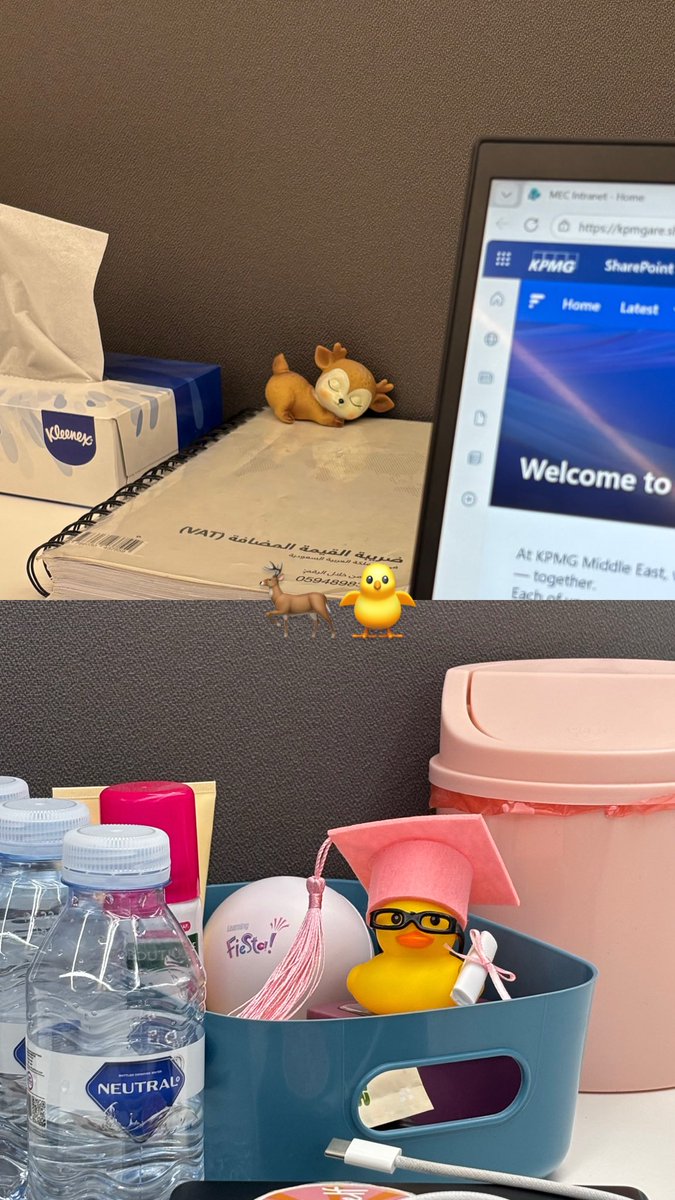 بداية رابع أسبوع تدريب، بالنسبة لي الحين أحس kpmg مكاااني❣️❣️❣️❣️💙

ستيكرز النجوم لتوثيق الإنجاز وتحفيز النفس☝🏻