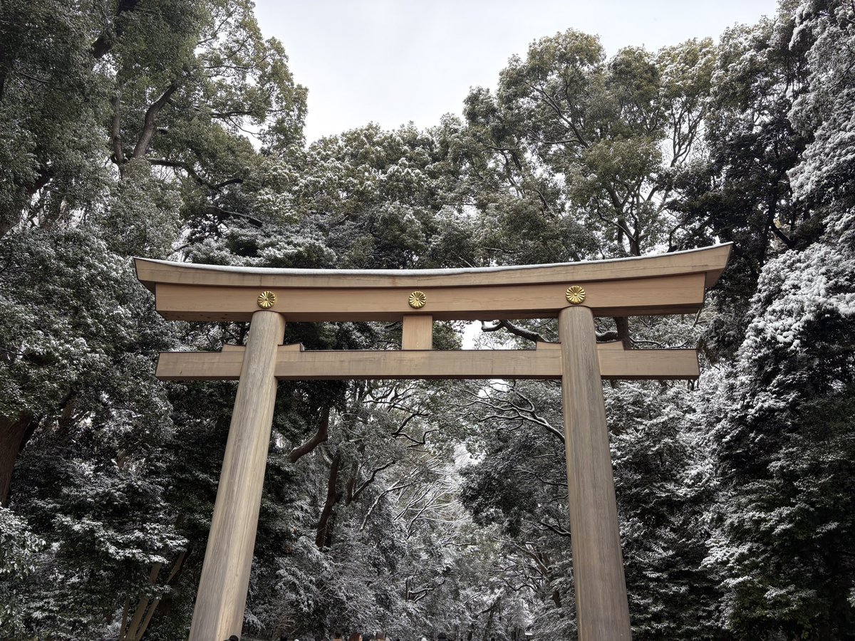 roy61911's tweet photo. 原宿GGで背中トレ→ご飯！
友達と逢える休日は最高だ！
雪の明治神宮も凄く綺麗だった⛄️ https://t.co/nEjeObNJaT