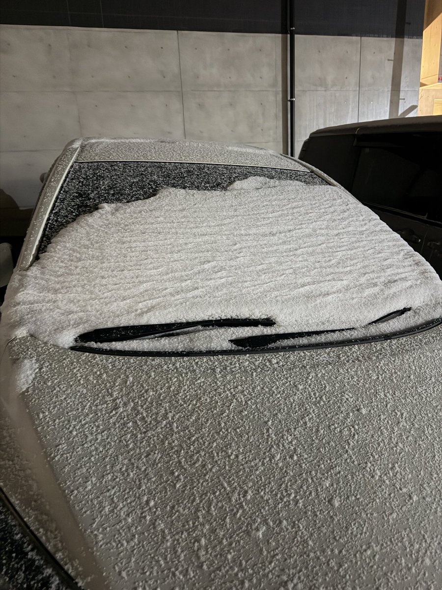 あんこまん tweet media