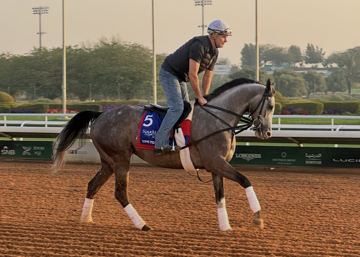 Michael Adolphson tweet media