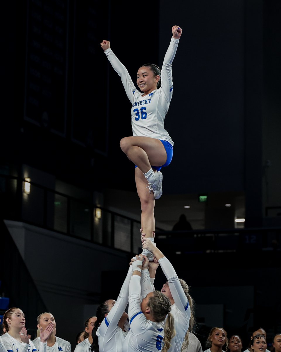 DigDeepMedia tweet media