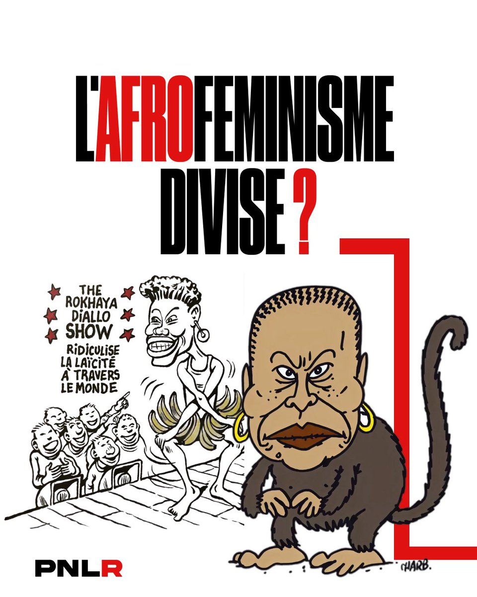 pnlr_afrofem's tweet photo. L’Afrofémisme divise ? Le féminisme n’a jamais été universel. https://t.co/IDnKd0wORx