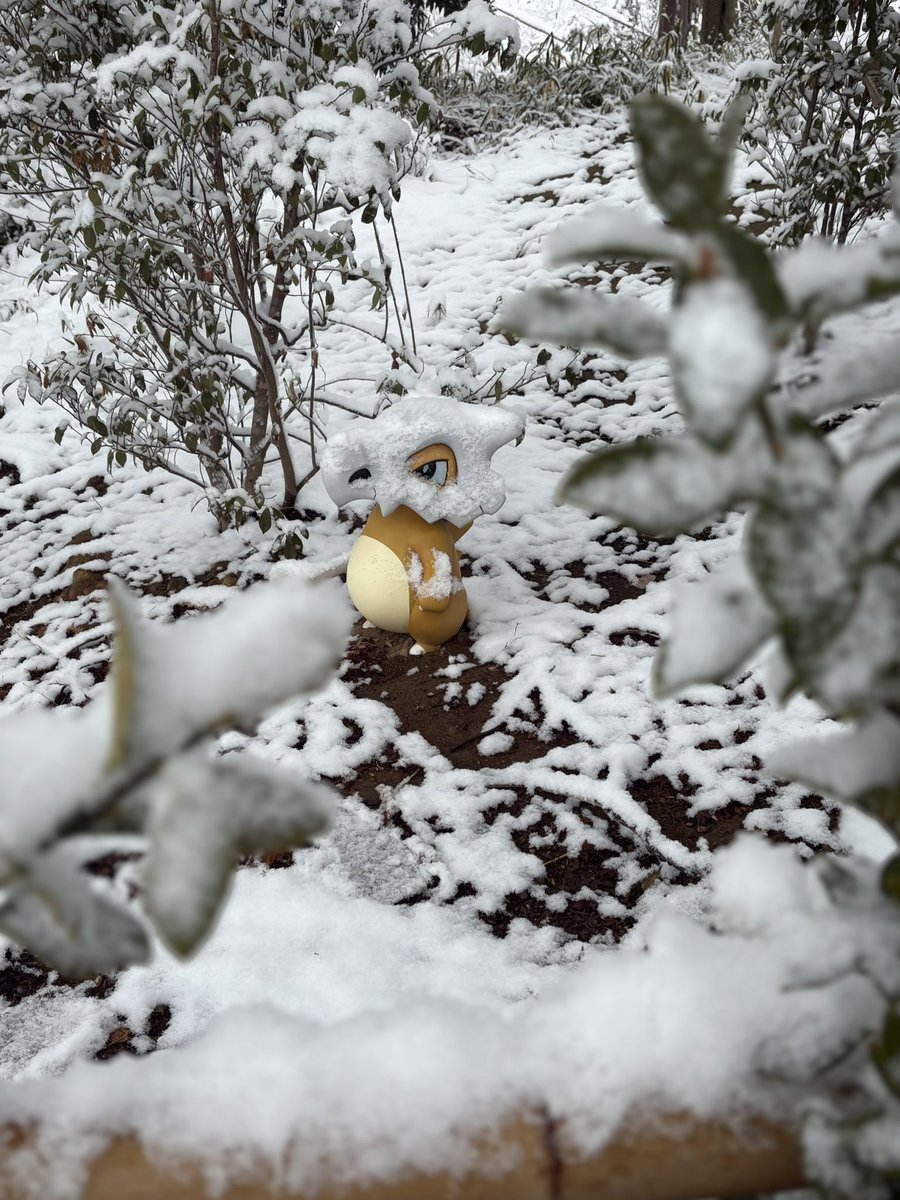 kyanaleen's tweet photo. 雪の中のポケパーク本当に本当に良かった！！！ https://t.co/fsolj9BSIX