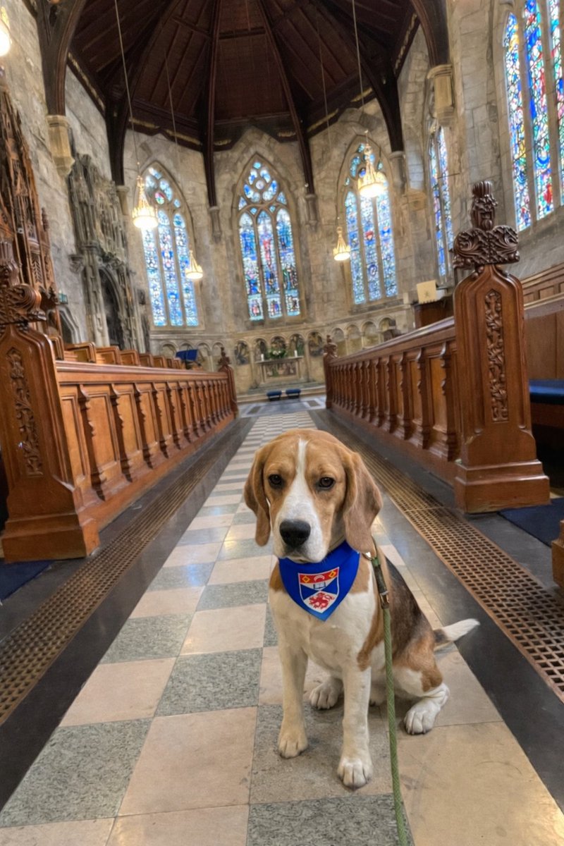 AlexAshWalms's tweet photo. Sunday at @univofstandrews = Sallies #chapel & #pierwalk. I thrive on routine! If I’m #chancellor you’ll see me there as often as I can. My black gown isn’t as warm as the famous red gowns. #ForeverSaints #EvertoExcel #Alex4chancellor #VoteAlex #VoteLadyW https://t.co/qDcB7zM9Pa